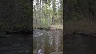 р. Невонка #рыбалка #shorts