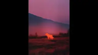 (free)2hollis X joji experimental type beat | 