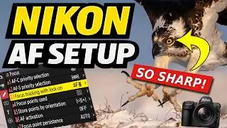 Best Nikon AF Setup for Wildlife Photography (Nikon Z Series)