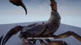 &ldquo;Nature&rsquo;s Arena: Deadly Scorpion vs Tarantula Fight&rdquo; #tarantula #scorpion #whowouldwin