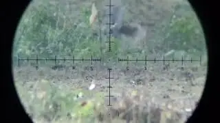 Warp rifle .25 barrel tj .25