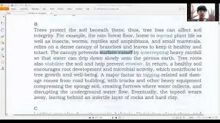 Logging Impacts B - 23/10/2025