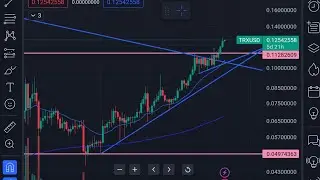 Crypto TRX TRON portfolio update Feb 13, 2024!! pre valentine /election days. what are you buying ?