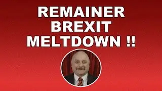The Remainer Brexit Meltdown!