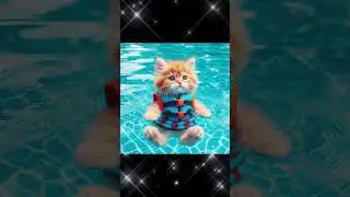 cute cat summer vacation　＃shorts