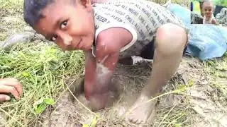Amazing Cats Fish catching- Best fishing-Unique Hole Fish Catching - Us Fishing ( part -20)