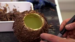 Extreme Chocolate Art - Mind Blowing Edible Sculptures Revealed!