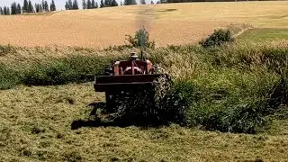 60 year old 1962 Massey Ferguson 65 Diesel Tractor Mowing Very Tall Grass, MF-65 Tarter Mower