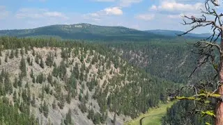 September in Montana - Trail Camera Footage
