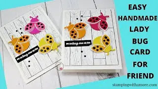 Easy Handmade Lady Bug Card for a Friend