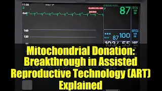 Mitochondrial Donation: Breakthrough in Assisted Reproductive Technology (ART) Explained