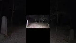 HAUNTED CEMETERY. AN OWL WARNED US! #weird #horror #horrorfilm #ghost