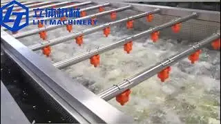 Vegetable Cleaning Bubble Washing Machine Fruit & Vegetable Washing Equipment