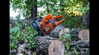 HUSQVARNA 572xp back at work, cleaning up a few fallen trees.