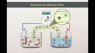 Electrochemical Cell and movement of ions - A Level chemistry 