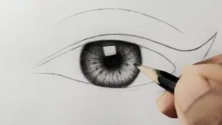 How to Draw a Realistic Iris: Step-by-Step | Iris Insights: Creating Depth and Detail #drawing 