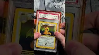 Perfect GradedGuard Match for Fossil Dragonite?