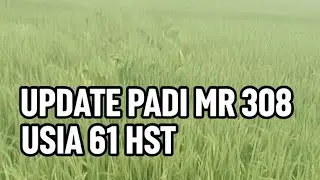 Up date padi MR 308 61 HST.