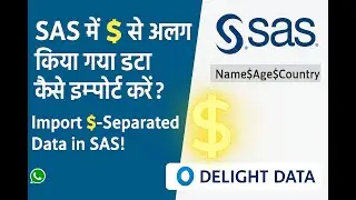 How to Import Dollar-Sign-Separated Data in SAS | Delight Data Tutorial