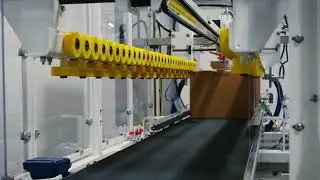 SS45 Side Sealer by Pearson Packaging Systems