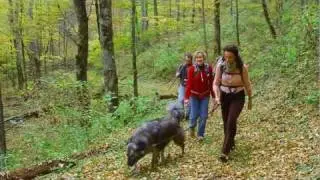 Andie MacDowell on Balsam_Master.wmv
