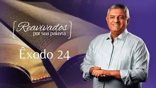 REAVIVADOS &Ecirc;XODO 24