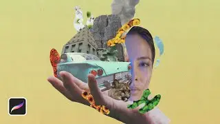 Procreate Digital Collage In 1 Minute [Timelapse]