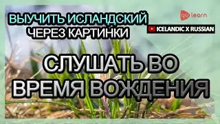Выучить исландский через картинки |исландский словарь слушать во время вождения | Golearn