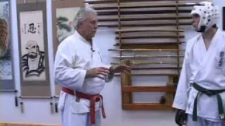 The Karate Dojo Vol 2