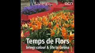 Temps de Flors brings colour and life back to Girona