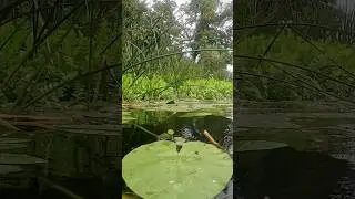 Река Хава