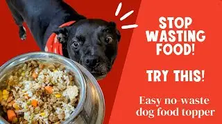 No-Waste Homemade Dog Food Topper | Budget-Friendly & Healthy Meal Boost!