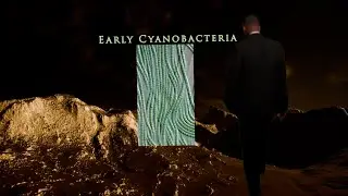 Will Smith Oscar slaps Cyanobacteria and starts the Great Oxidation Event