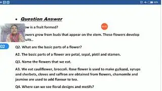 C.P. KOTAK ENGLISH MEDIUM STD.4 ENV