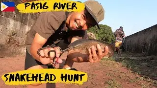 Day 2 - Snakehead hunt | Pasig River Fishing | Ep65