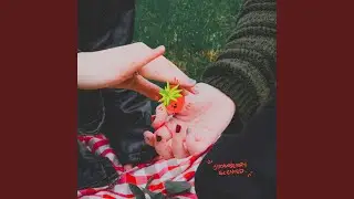 Second Skin