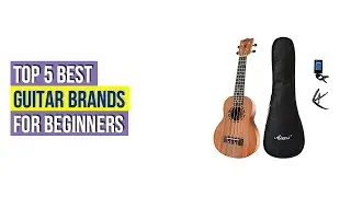 Top #5 Best Guitar Brands For Beginners - To Buy Online