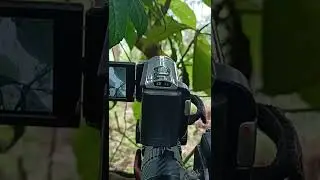 kamera handycam murah terbaik