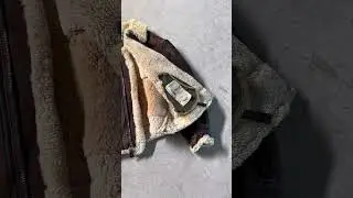 Avirex B-3 Shearling Flight Jacket