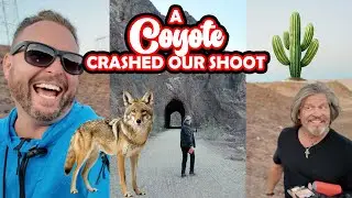 A Coyote Crashed Our Shoot in Boulder City, NV