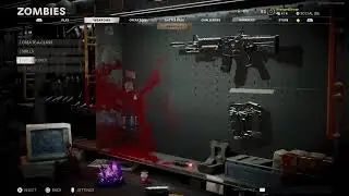 COD Cold War Zombies W\ HOMIES