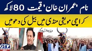 Name 'Imran Khan' Price 8 million Bull roars in Karachi cattle market Video goes viral