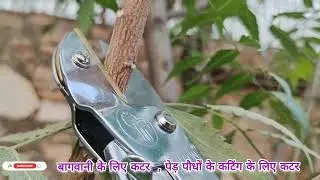 Unboxing Falcon Best Pruner/Cutter/Secateur  Grafting Cutting Tool Demo 2022 Does it work #grafting