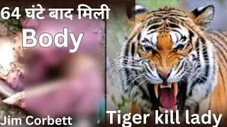 Tiger kill lady 🐅 | rescue body after 64 hours☠️ #nature #tigerattack #tiger#funny #jim corbett