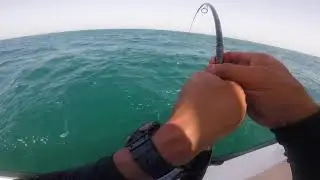 Queenfishing(6)150618