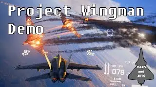 Project Wingman Demo Overview