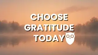 Morning Gratitude Reset ☀️ | Daily Affirmowl Ritual