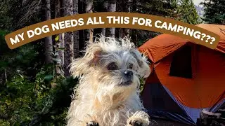 What To Pack For Your Dog While Camping