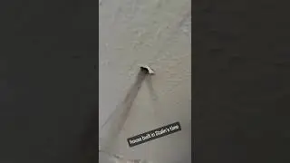 Work in a house built by Stalin / Работа в Сталинке
