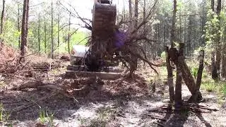 Bobcat e85 pulling pine tree stumps